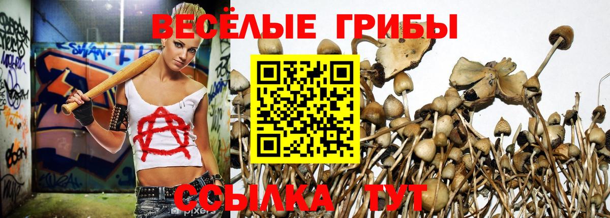 Псилоцибиновые грибы мухоморы  Псилоцибиновые грибы ЛСД  Саранск  Вход с VPN 