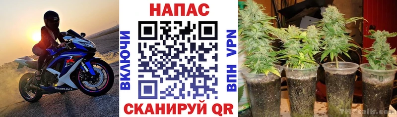 Шишки марихуана Ganja  наркотики  Саранск 